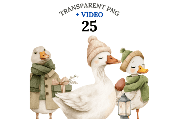 Christmas Goose Clipart Set: Editorial Illustrations